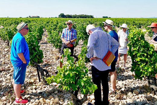 oenotourisme, châteauneuf du pape, visite des vignes, découverte du terroir, wine tourism, visit of the vineyards, discovery of the terroir